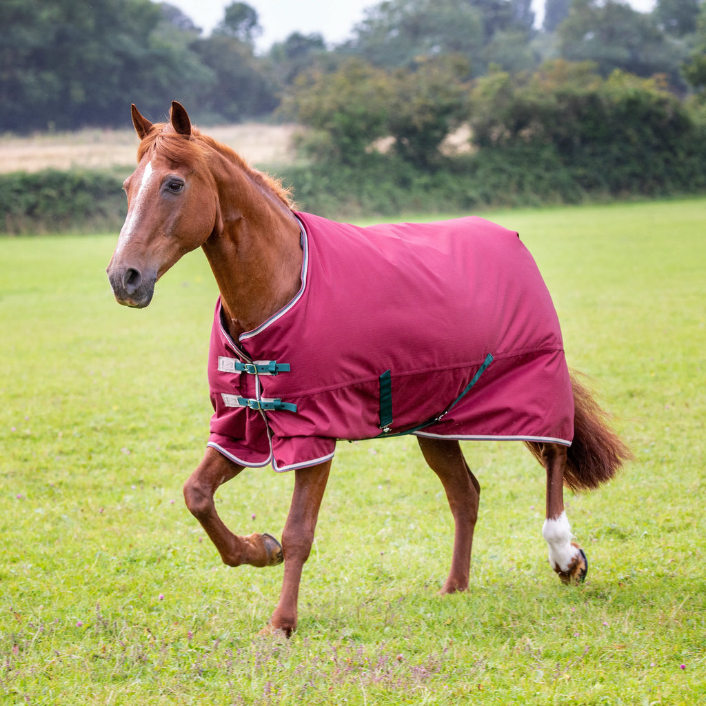 Shires Mini/Foal Highlander 200g Blanket