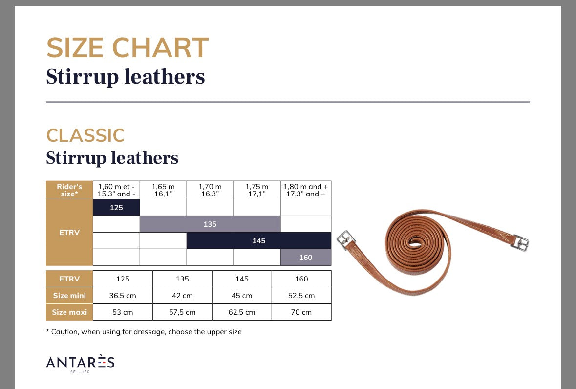 Signature by Antares Stirrup Leather- Black