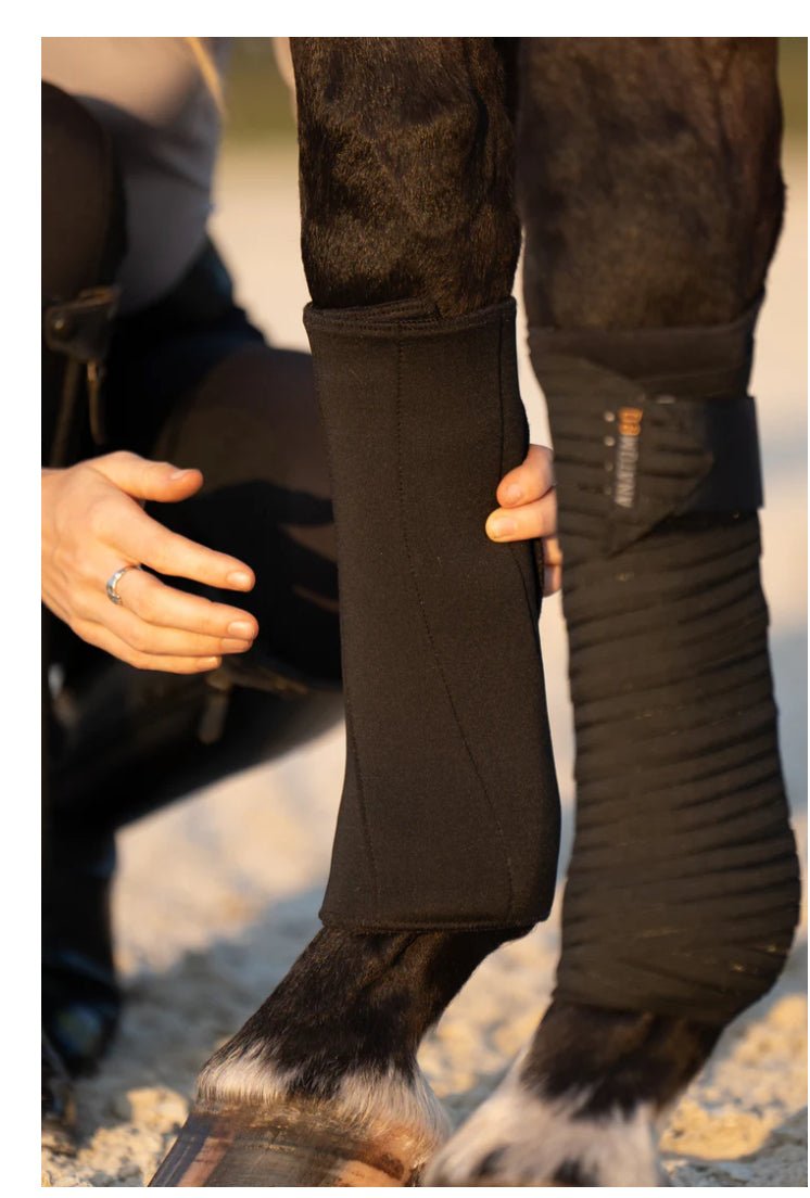 Anatomeq PoloPillows Bandage Liners - The Tack Shoppe