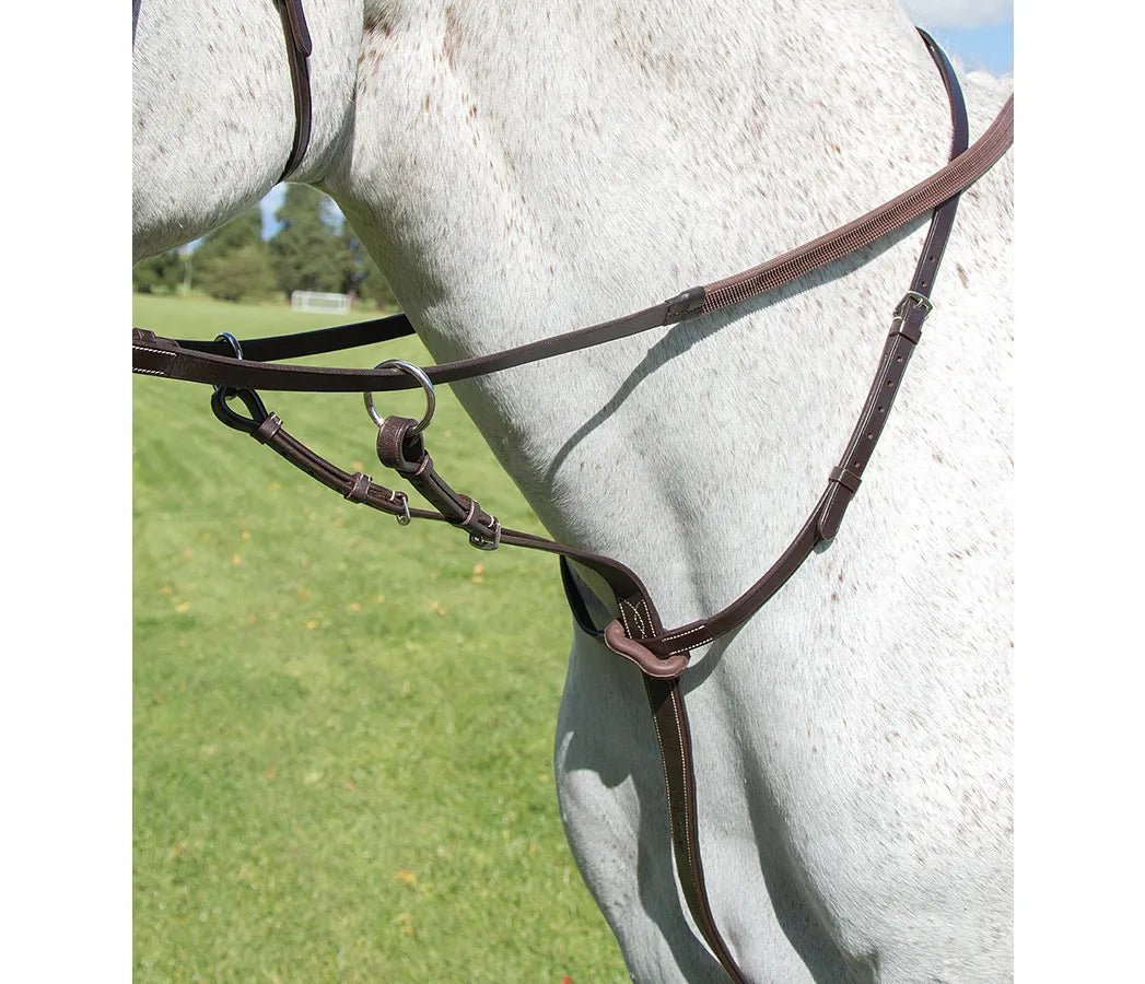 Avignon Running Martingale - The Tack Shoppe