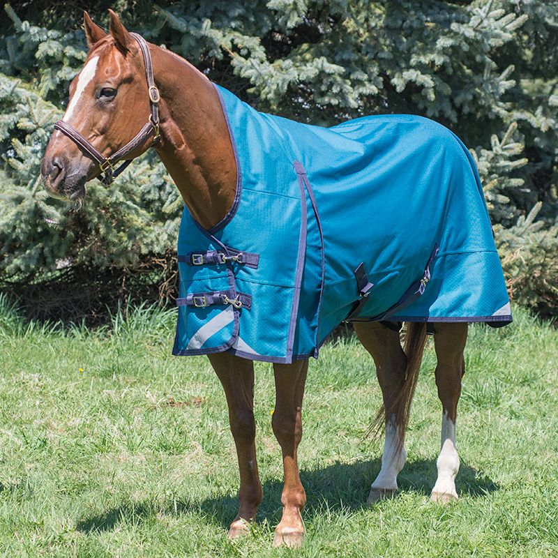 Canadian Horsewear Atlantis - 160gm - The Tack Shoppe