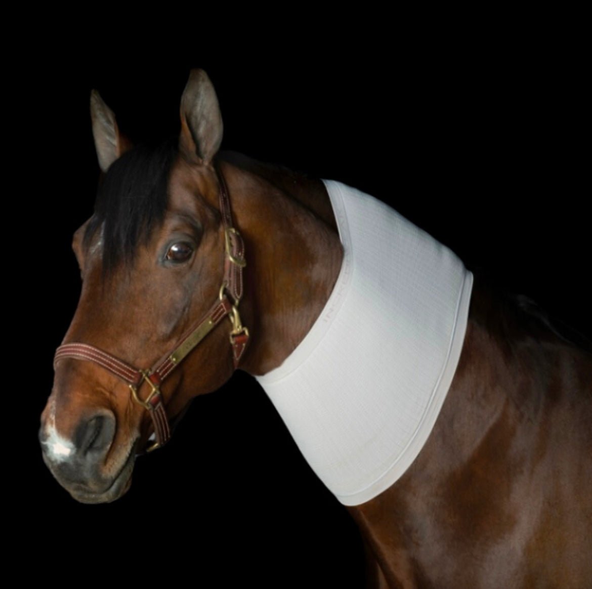 Incrediwear Circulation Neck Sleeve - The Tack Shoppe