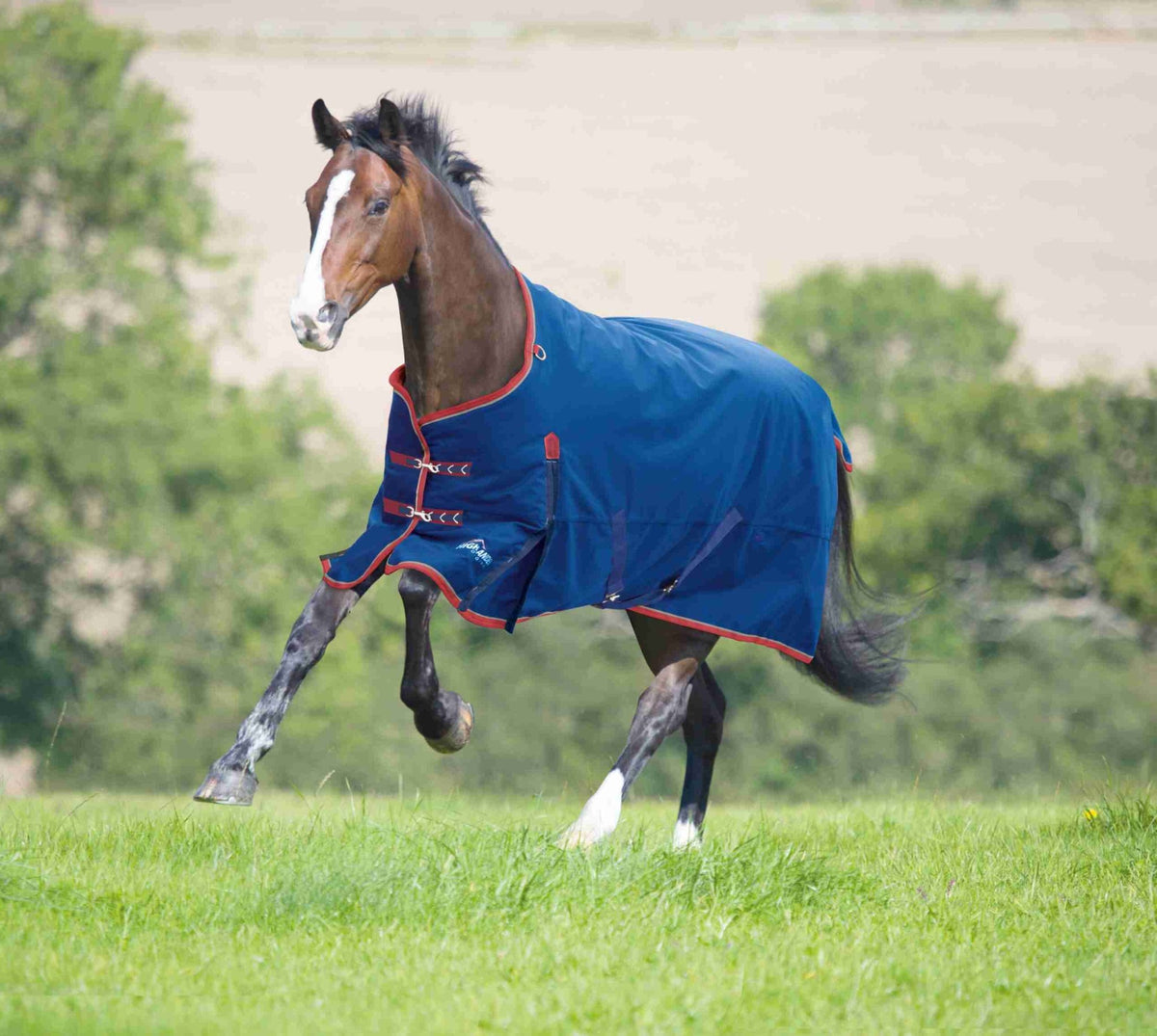 Shires Highlander Plus Turnout- 300gm - The Tack Shoppe