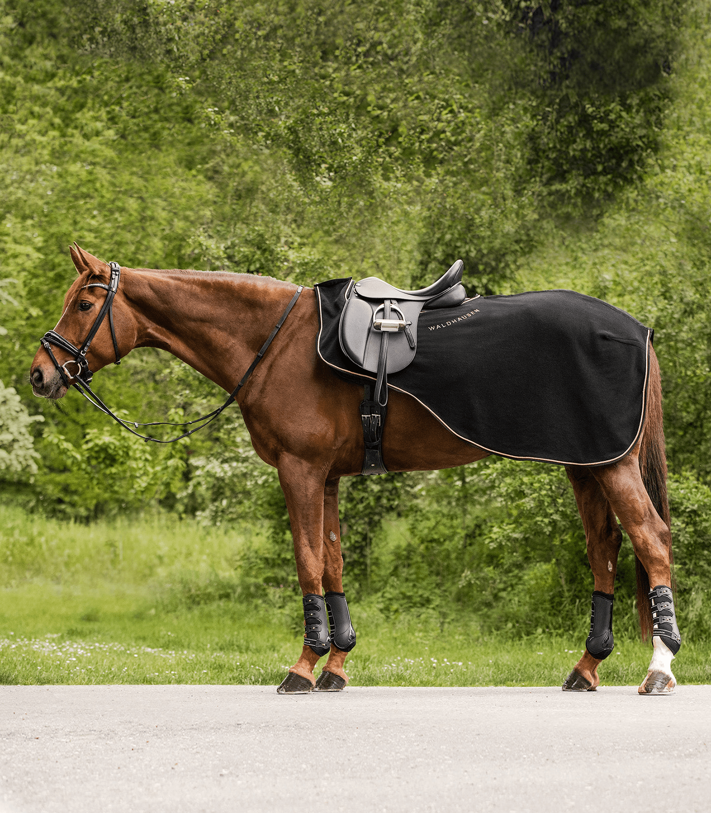 WH Modern Rose Fleece Quarter Sheet - The Tack Shoppe