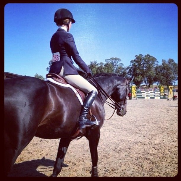 Ecogold SECURE HUNTER SADDLE PAD - The Tack Shoppe