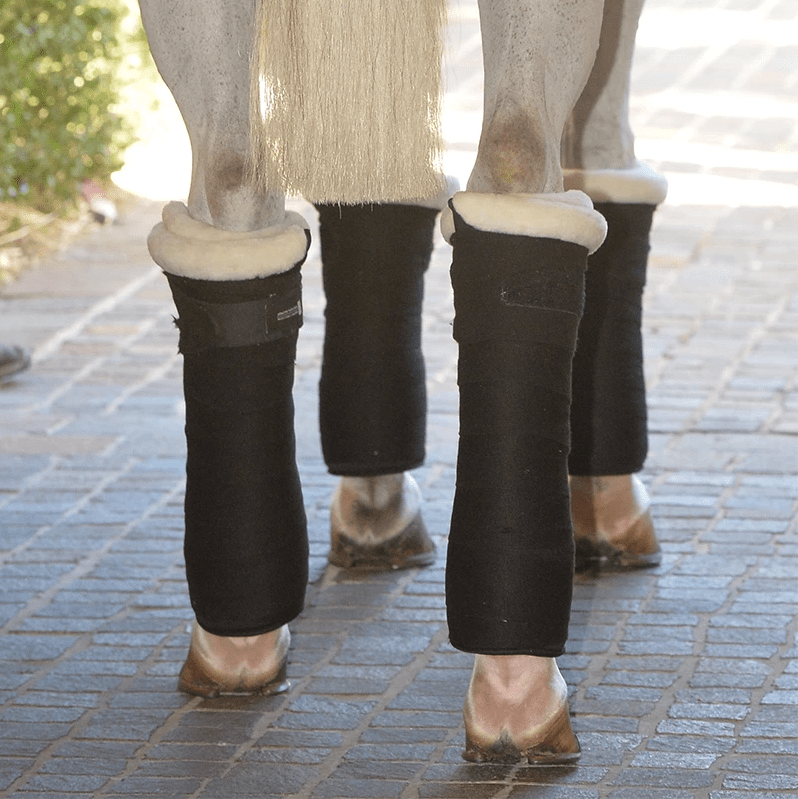 Equifit SHEEPSWOOL™ T - FOAM™ STANDING WRAPS - The Tack Shoppe