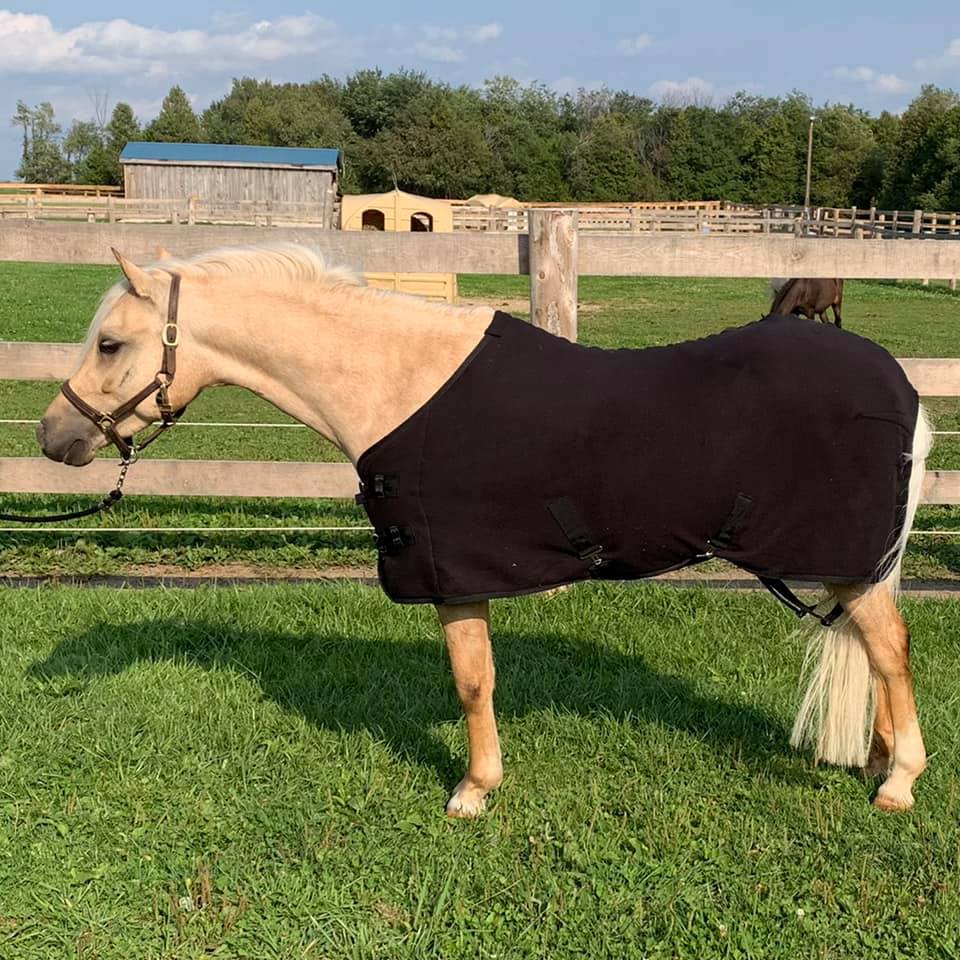 Ger - Ryan Black Polar Fleece Sheet - The Tack Shoppe