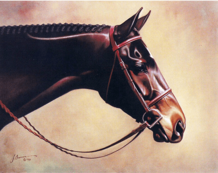 Greeting Cards - Classic Elegance - The Tack Shoppe