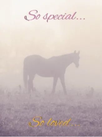 Horse Hollow Press Sympathy Card - So Special, So Warmly Remembered