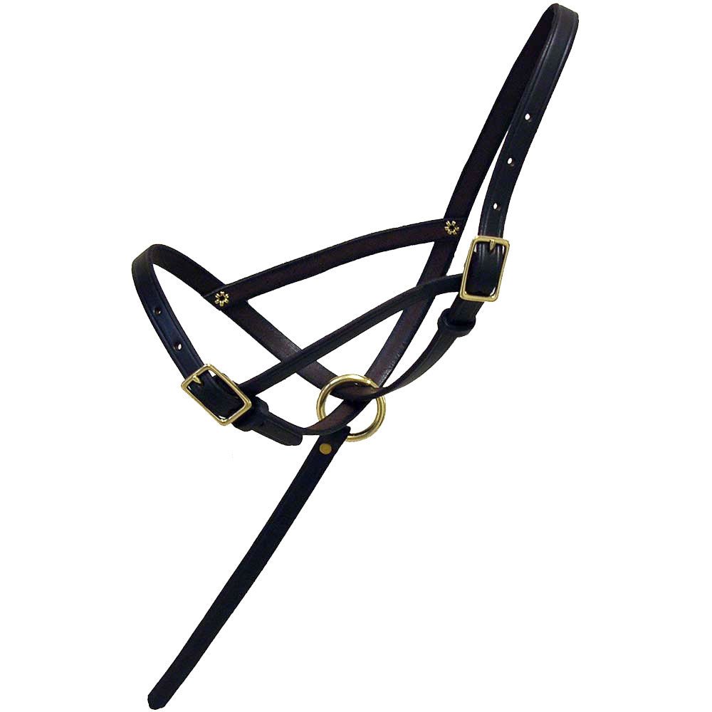 Leather Foal Slip with Grab Strap - The Tack Shoppe