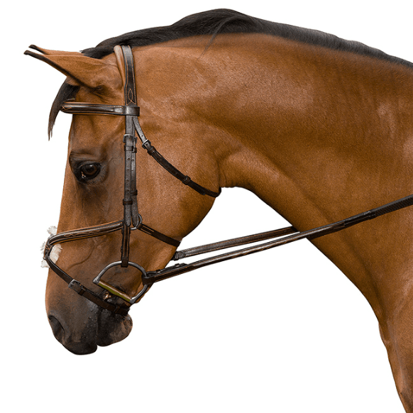M. Toulouse Amelie Figure - 8 Jumper/Eventing Bridle - The Tack Shoppe