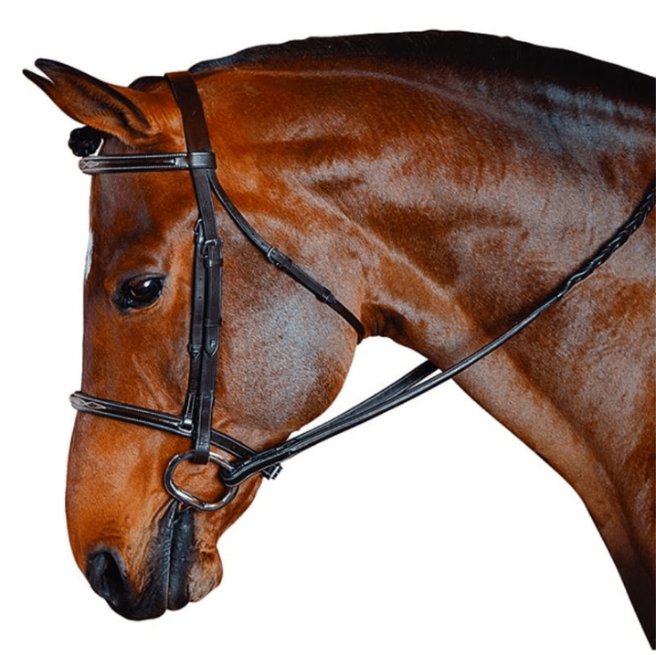 M. Toulouse Standard Hunter Bridle - The Tack Shoppe