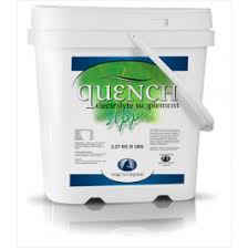 Power Quench Apple Electrolytes Supplement - 4.54kg - The Tack Shoppe