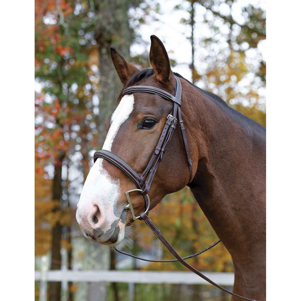Shires Avignon Ocala Havana Bridle - The Tack Shoppe