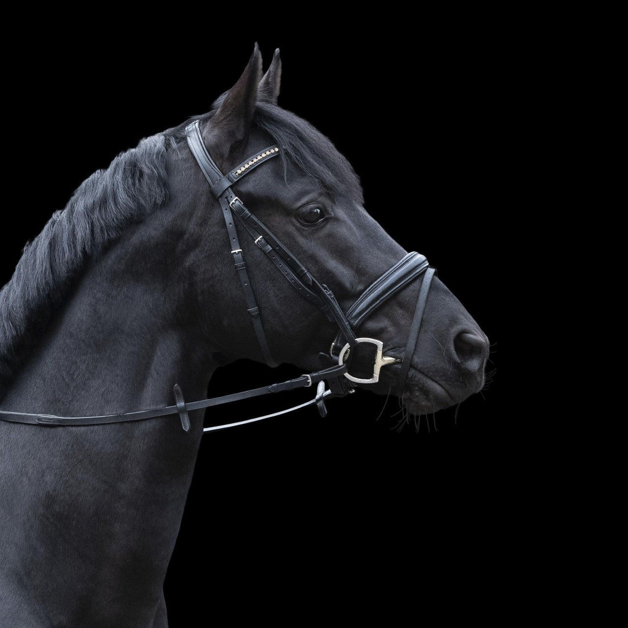 Sprenger Dynamic RS Double Jointed D - Ring - 14mm - The Tack Shoppe
