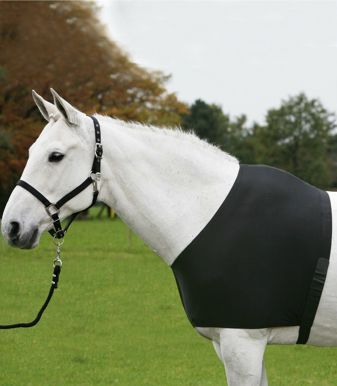 Waldhausen Shoulder Guard - The Tack Shoppe