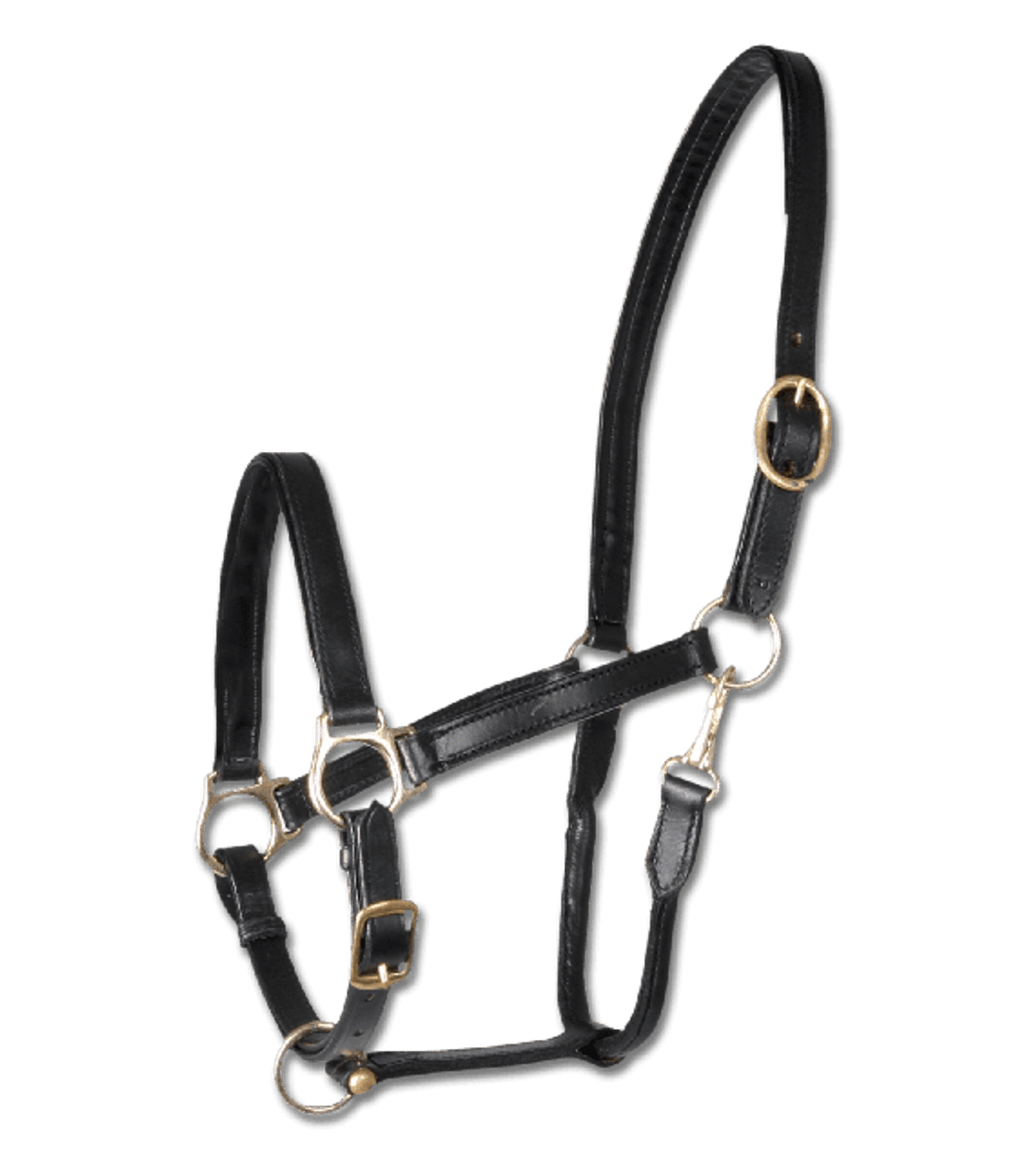 Waldhausen Star Leather Halter - The Tack Shoppe