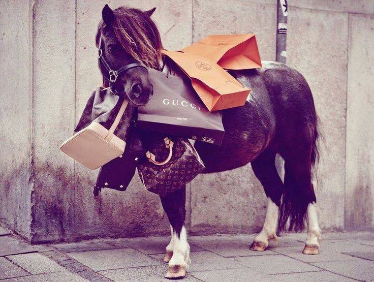 For The Ponies - The Tack Shoppe