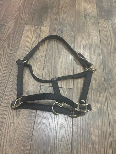 Consignment Nylon halter