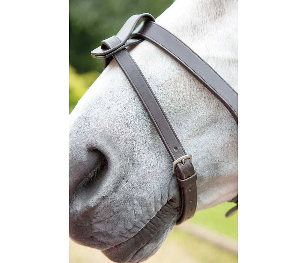 Shires Flash Attachment Strap