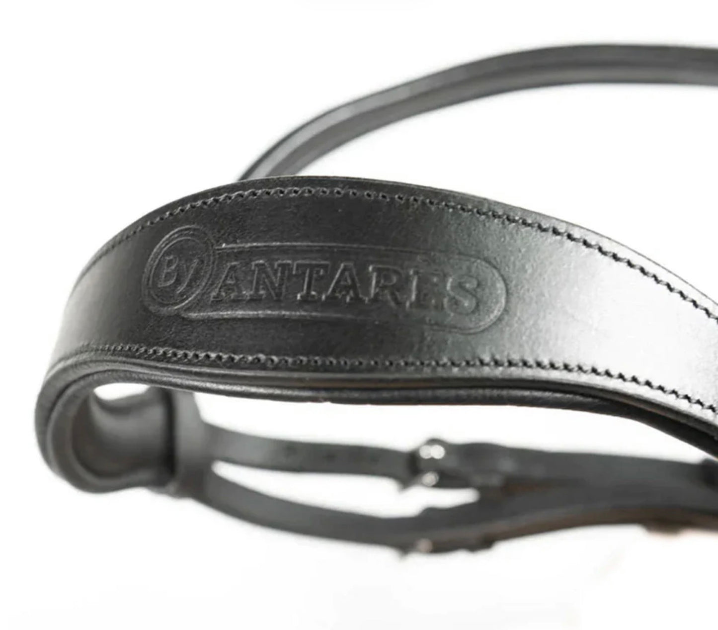 Antarés Signature Dressage Bridle