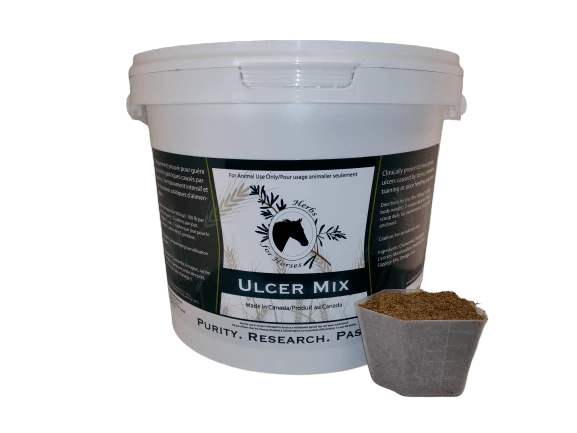 Herbs for Horses Ulcer Mix