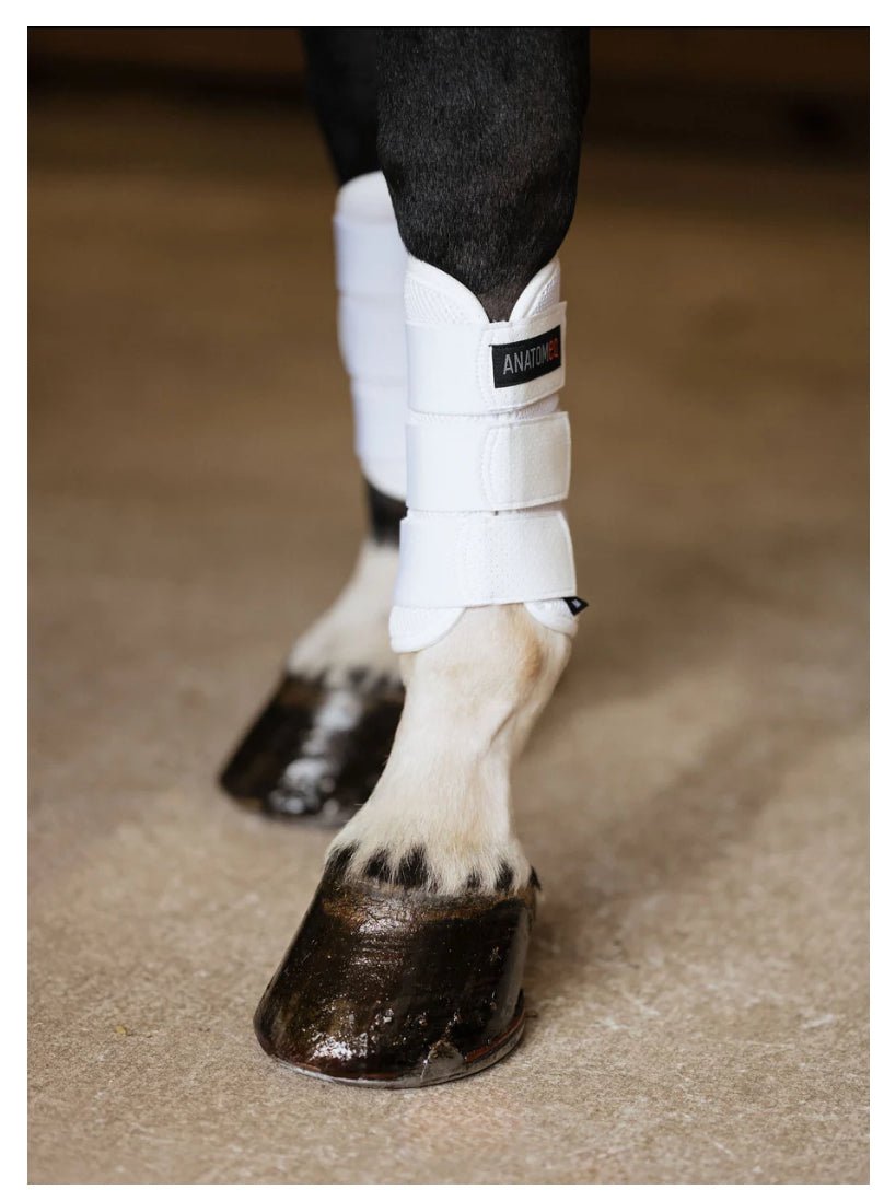 Anatomeq AirGuard Brush Boots - The Tack Shoppe
