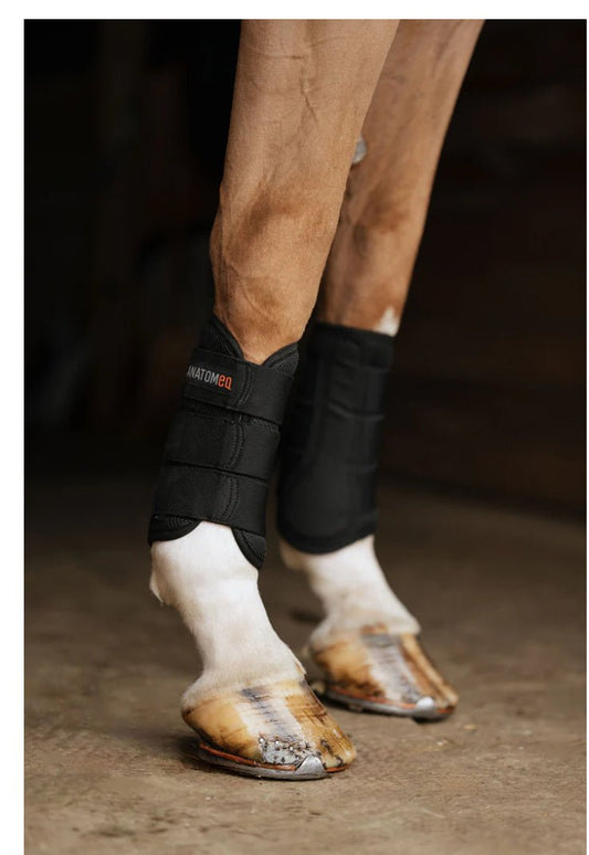 Anatomeq AirGuard Brush Boots - The Tack Shoppe