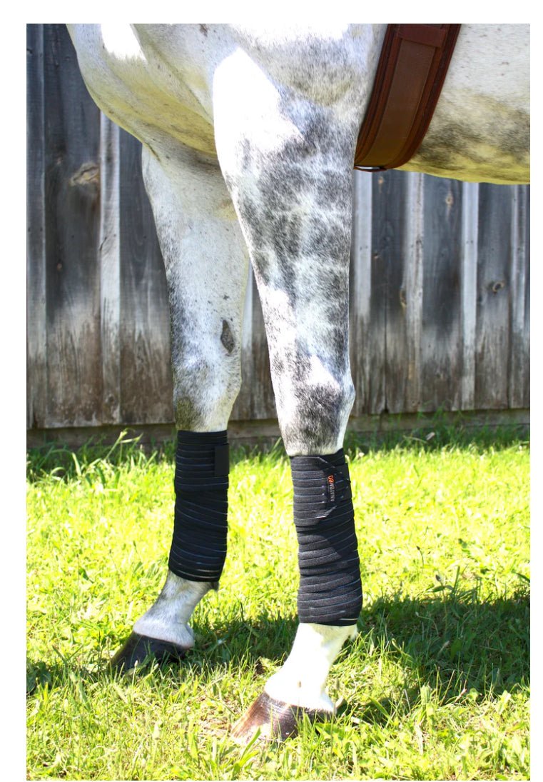 Anatomeq AirSupport Polos - The Tack Shoppe