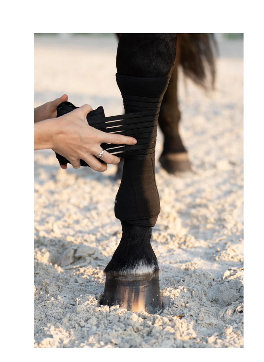 Anatomeq AirSupport Polos - The Tack Shoppe