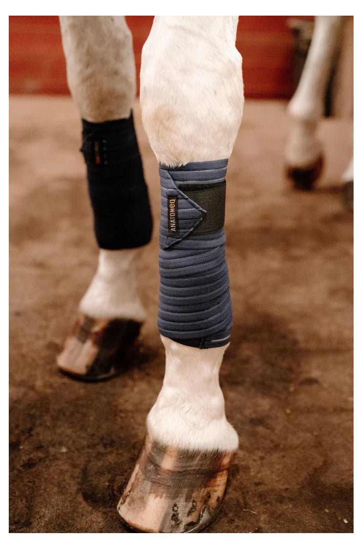 Anatomeq CoolSupport Combi Polos - The Tack Shoppe