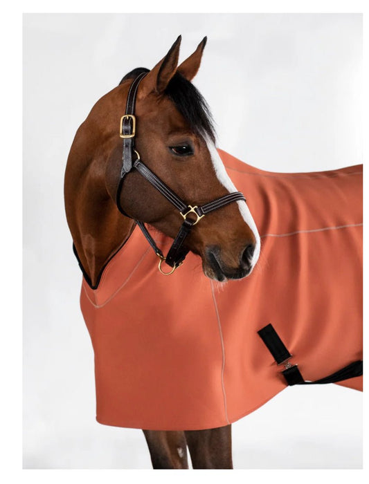 Anatomeq Fit Blanket 2.0 - The Tack Shoppe