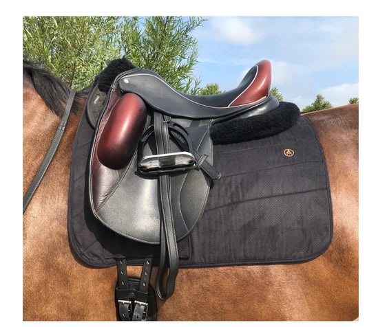 Anatomeq Perfeq Dressage Pad - The Tack Shoppe
