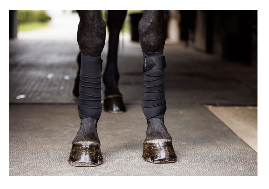 Anatomeq SoftSupport Polo - The Tack Shoppe