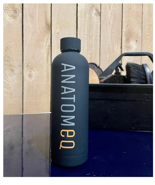 Anatomeq Water Bottle - The Tack Shoppe