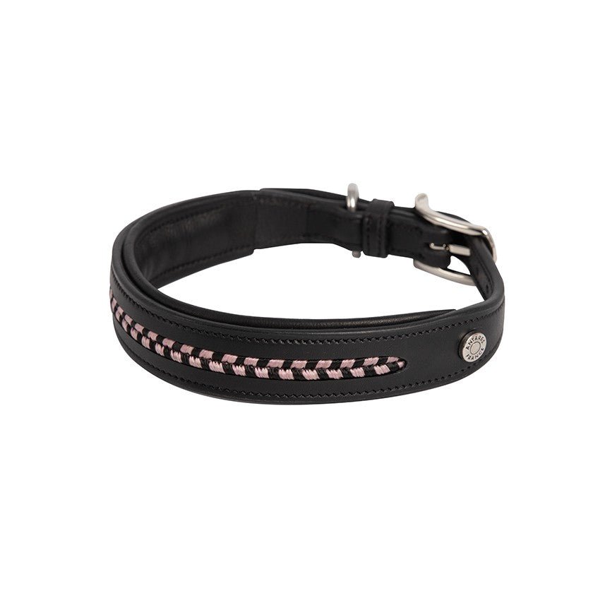 Antares Sellier Dog Collar - The Tack Shoppe