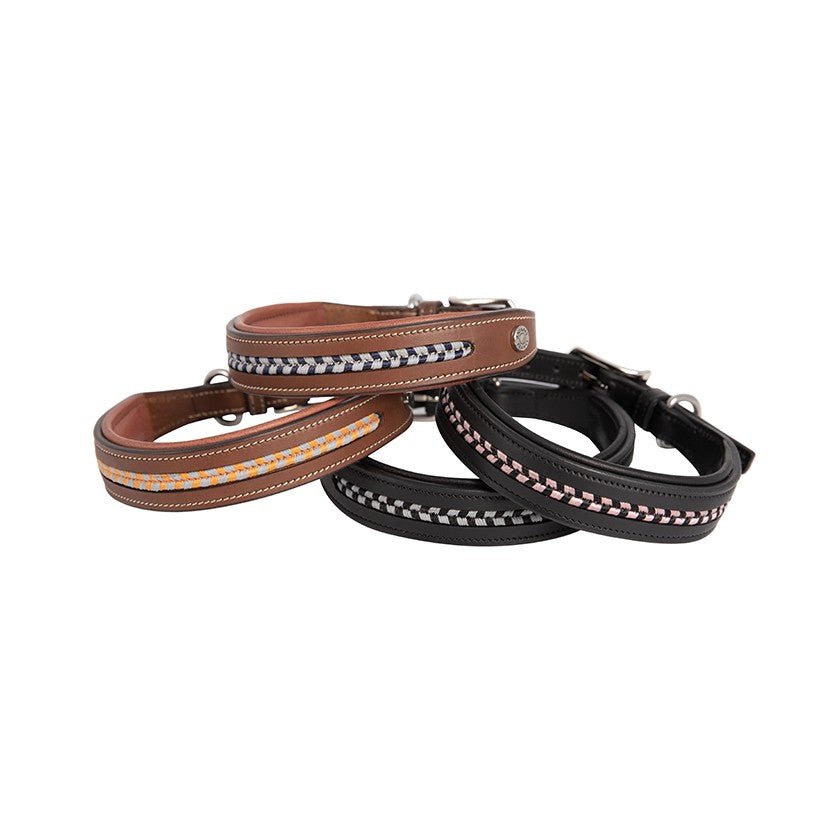Antares Sellier Dog Collar - The Tack Shoppe