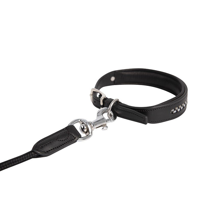 Antares Sellier Dog Collar - The Tack Shoppe