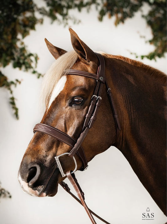 Antarès SIGNATURE HUNTER BRIDLE - The Tack Shoppe