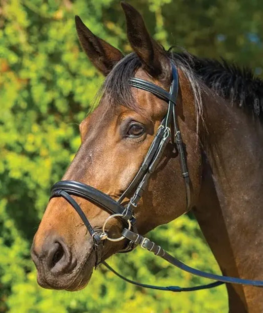 Avignon Aspen Bridle - The Tack Shoppe