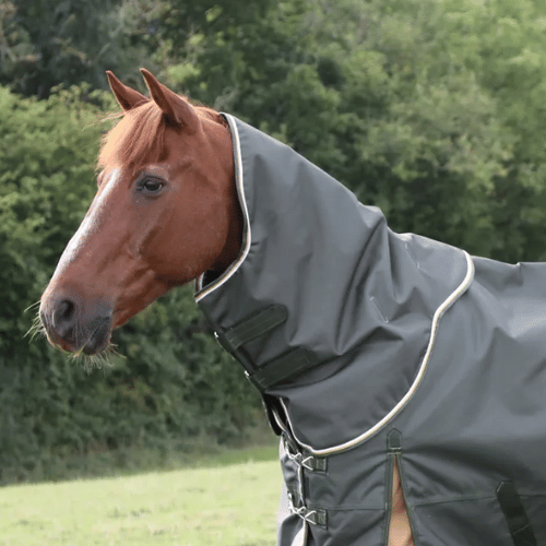 Highlander Plus Lite Neck Cover