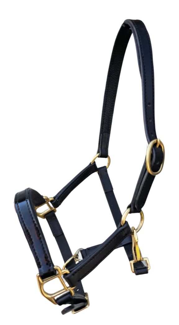 Black Patent Leather Halter - Foal or Mini - The Tack Shoppe