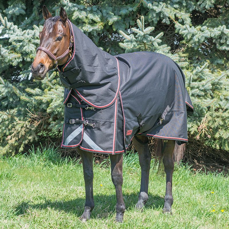Canadian Horsewear Magnum Diablo 300gm - Navy with Red Piping - The Tack Shoppe