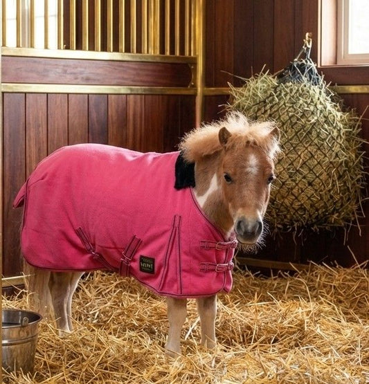 Canadian Horsewear Pink Mini/Pony Cooler - The Tack Shoppe