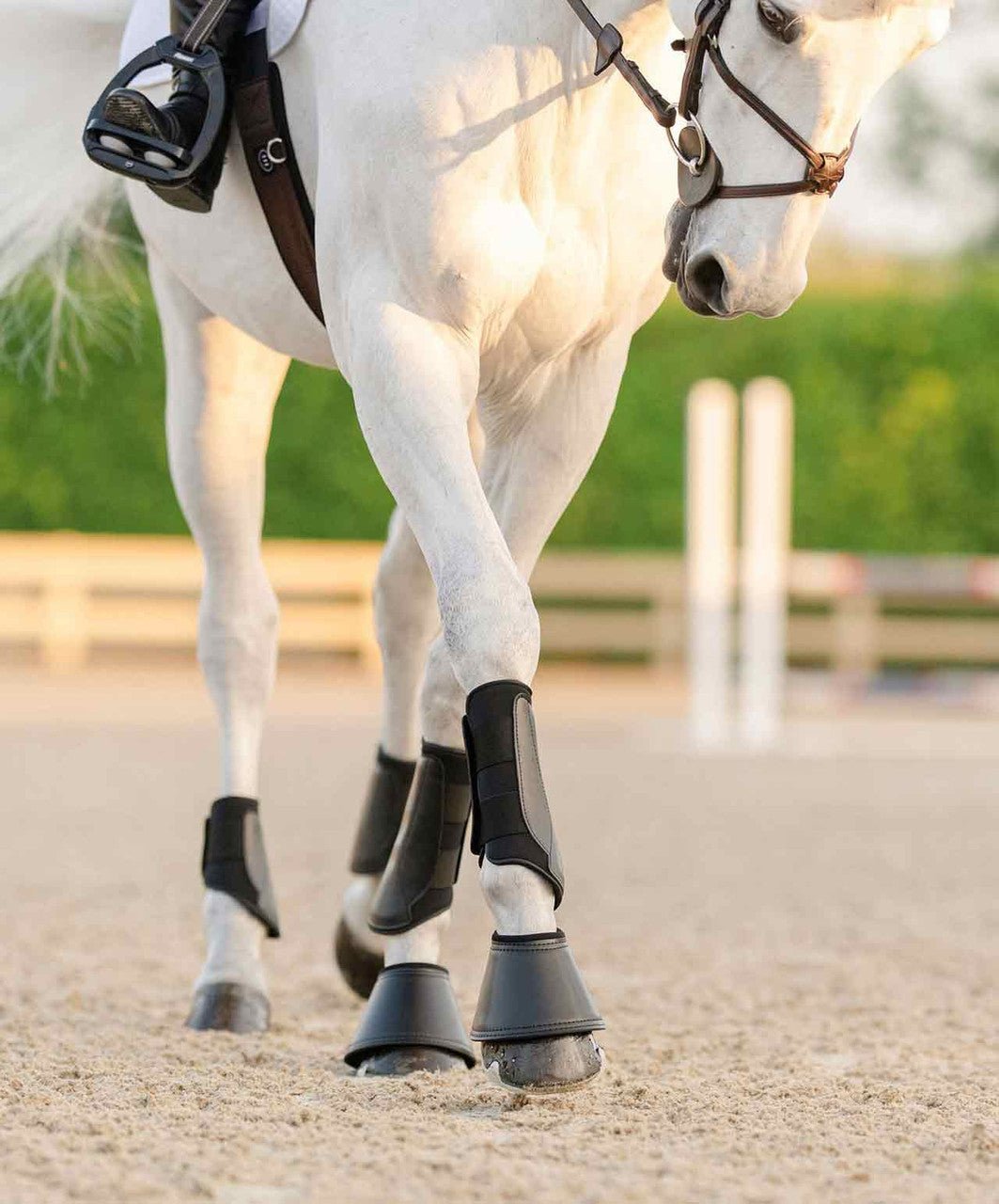 Equifit Essential Everyday Front Boot - The Tack Shoppe