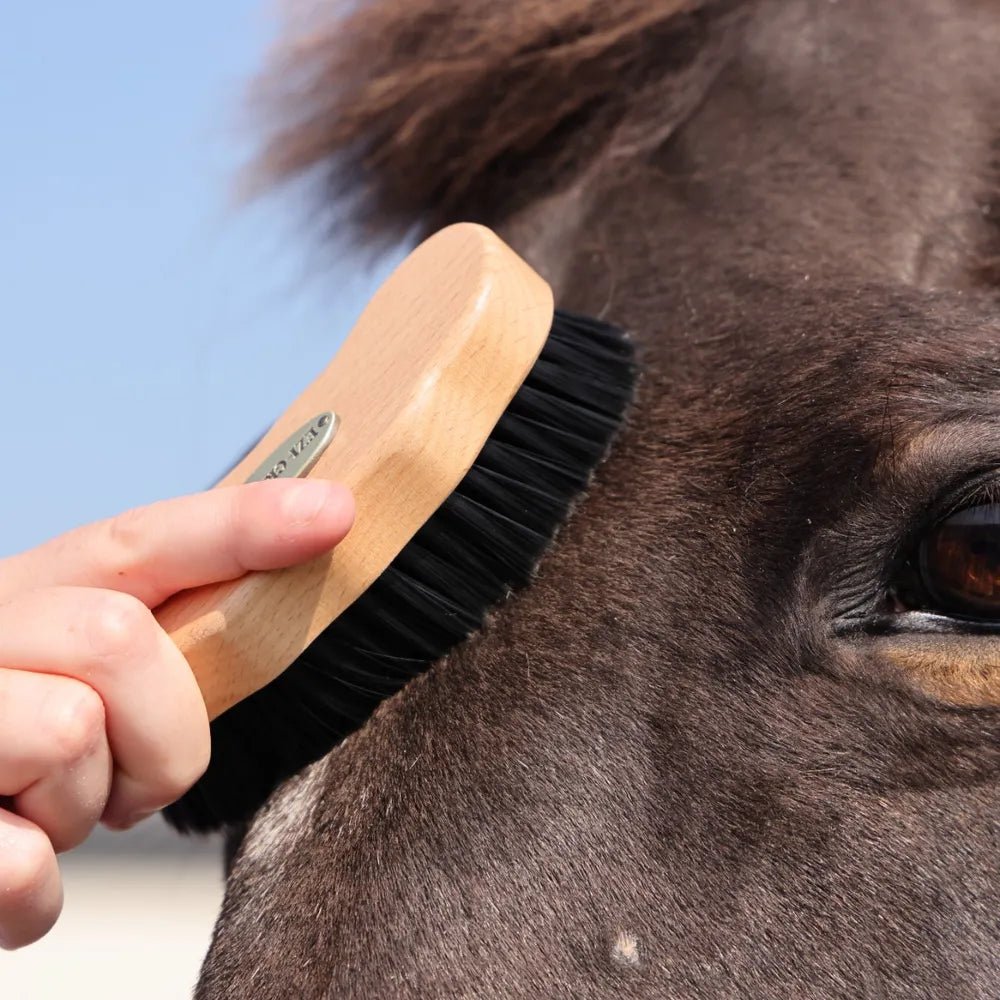 EZI - GROOM Premium Face Brush - The Tack Shoppe