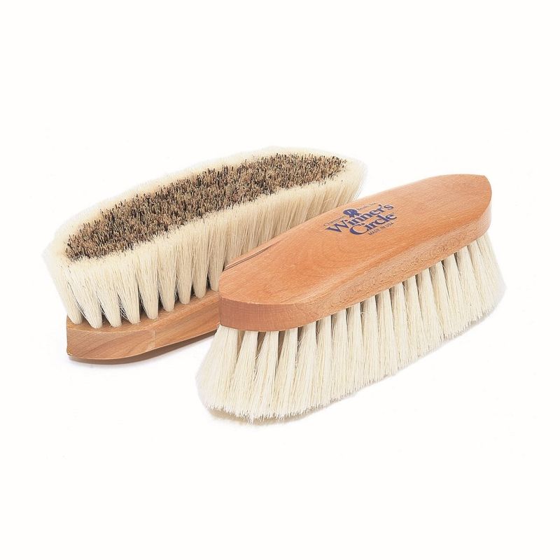 Winner's Circle Union/Tampico Dandy Brush