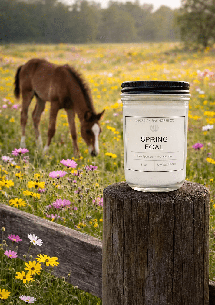 Georgian bay Horse Co - Spring Foal 16oz - The Tack Shoppe