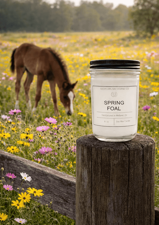 Georgian bay Horse Co - Spring Foal 16oz - The Tack Shoppe