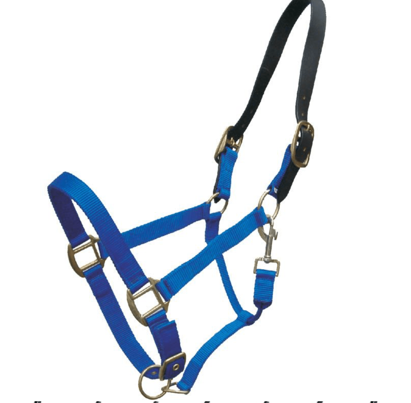 Gerryan Nylon Halter with Leather Breakaway - The Tack Shoppe